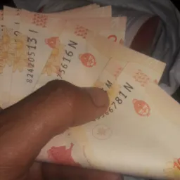 🤑🤑 BOTUCATU NEGOCIOS 🤑🤑