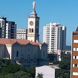 Campeão vendas Apucarana💰