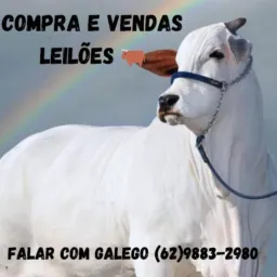 Gabireiros de plantão 🐴🐶🐮🐷🪿🐂