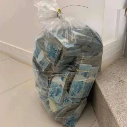 SEGUIDORES EM ATACADO