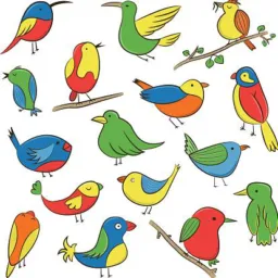 Aves somente de jf
