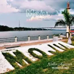Vendas e notícias moju