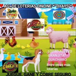 ❣️💦AG DE LOTERIAS ONLINE "*THAYS"*💦❣️