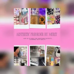 Aesthetic Preorder by Merit 🛍️💅✨