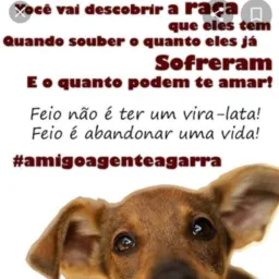 Doação de animais