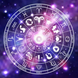 Agregando Signos
