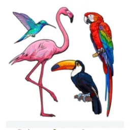 🕊️ AVES DE TDS ESPÉCIE RJ DDD (21) 🕊️