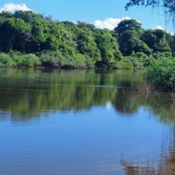 Grupo só de vendas