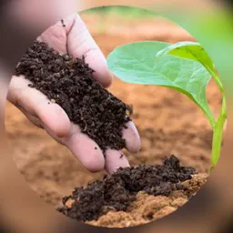 🔵 ADUBOS SANVITTA 🌱