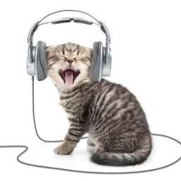 💞Enlace Música y chat🎶🎵🔊