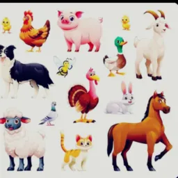 🐕💕DOAÇÕES E 🐈‍⬛VENDAS💸 DE 🐥🐔ANIMAIS🐕🪿  RONDÔNIA 🇧🇷