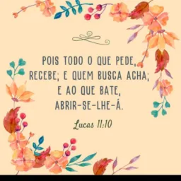 Vendas e informações Aracaju😍