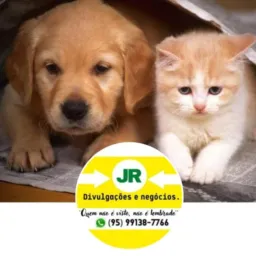 01 - VENDA E DOAÇÃO DE ANIMAIS