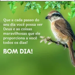 descarte e doações🙏🏼