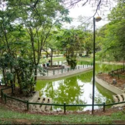 🟡VENDAS CRICIUMA SC 3️⃣