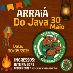 ARRAIA DO JAVA