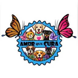 Amor que cura 🦋🐶🐈‍⬛ diretoria e voluntários