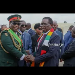 Zimbabwe National Army ,(ZNA )