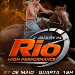 3 - 1º LEILÃO VIRTUAL RIO HIGH PERFORMANCE