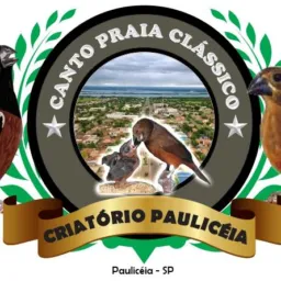 💫 CRIATÓRIO PAULICÉIA RIFA DE UMA GAIOLA DE