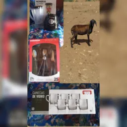Rifa pela federal de nossa amiga Madalena 🍀