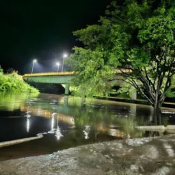 PORTO ALEGRE GAMBIRA