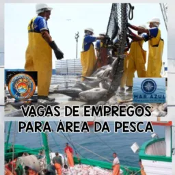 Vagas para pescadores🦐🦐🐟🐟