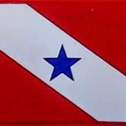NOTÍCIAS PARÁ
