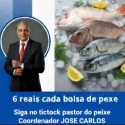 1 ISVV ONG 💫 projeto inteligente DO PEIXE DA VILA GUIMARÃES