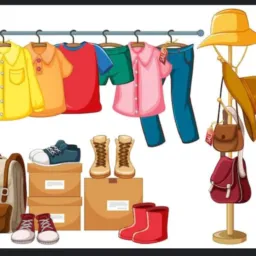 #Vem pro bazar online Rorainópolis