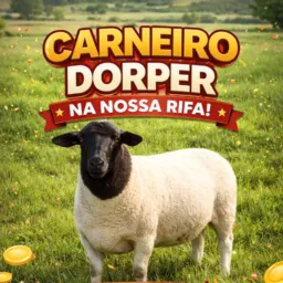 Rebanho cachoeirinha rifa