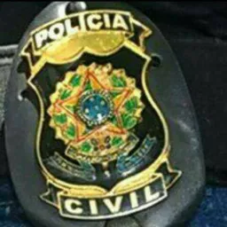 🚔 Ação Policial 1️⃣🚔