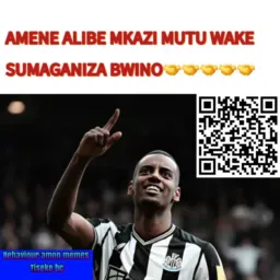 BEHAVIOUR AMON MEMES AND MACHEZA MBWEEE