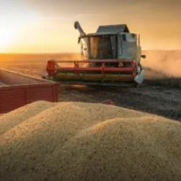 🚜 🌾 BUDA FRETES 3️⃣