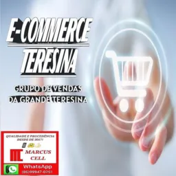 E-COMMERCE TERESINA