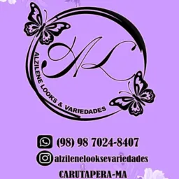 💅 ALZILENE LOOKS & VARIEDADES 👗👜💄👗