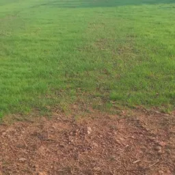 KUGAWANA NYIMBO NA VABOLA SPORTS