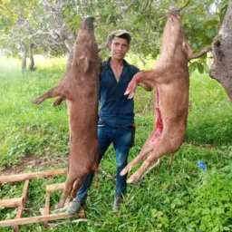 Amigos da caça.