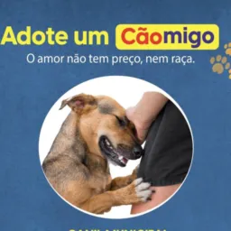 Doação de animais Buriti região