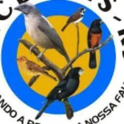 Feira do rolo🫡 gambira da bicharada 🕊️
