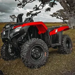 🏞️🇧🇷 "Off-road tires" 🔥 Alisson chama no brick...🇧🇷🙅🏼♂️