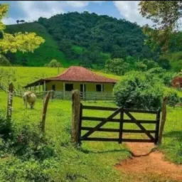 Eu  ❤️  a Vida na Roça🌳
