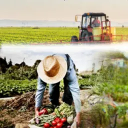 Produtor Rural