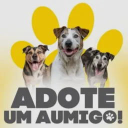 Vamos adotar