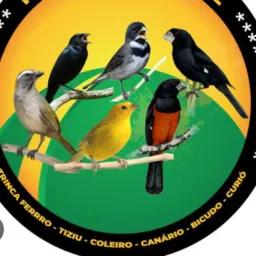 Feira livre passarinhos de zona Sul