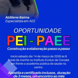 Curso PEI E PAEE (Elaboração e c