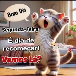Grupo voltado pra solteiros 😎