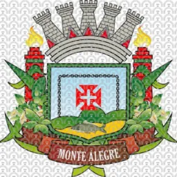 Olx : brechó de Monte Alegre