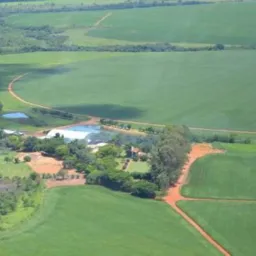 Grupo de venda e compra do mato grosso do sul