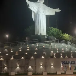 Palmeira 🌴 🌴 negócios e notícias